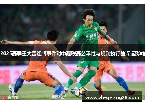 2025赛季王大雷红牌事件对中超联赛公平性与规则执行的深远影响