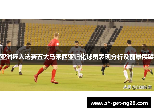 亚洲杯入选赛五大马来西亚归化球员表现分析及前景展望
