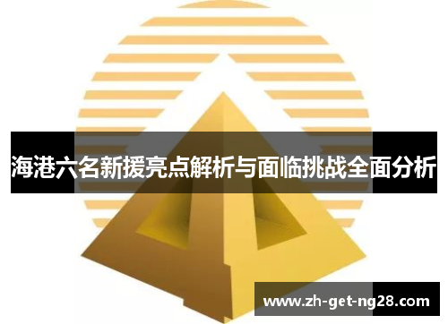 海港六名新援亮点解析与面临挑战全面分析